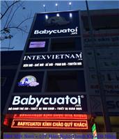 Địa chỉ Showroom Cougar Việt Nam